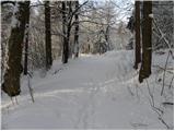 Stara Vrhnika - Koča na Planini nad Vrhniko